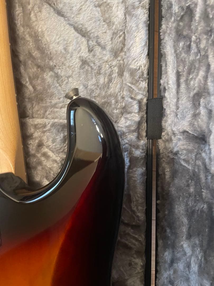 専用！fender americanprofessional ストラトキャスター