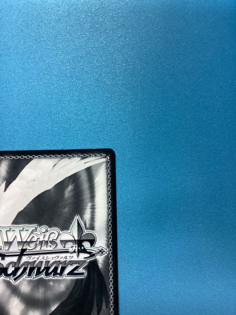 WS 白い稲妻 タマモクロス SSP サイン