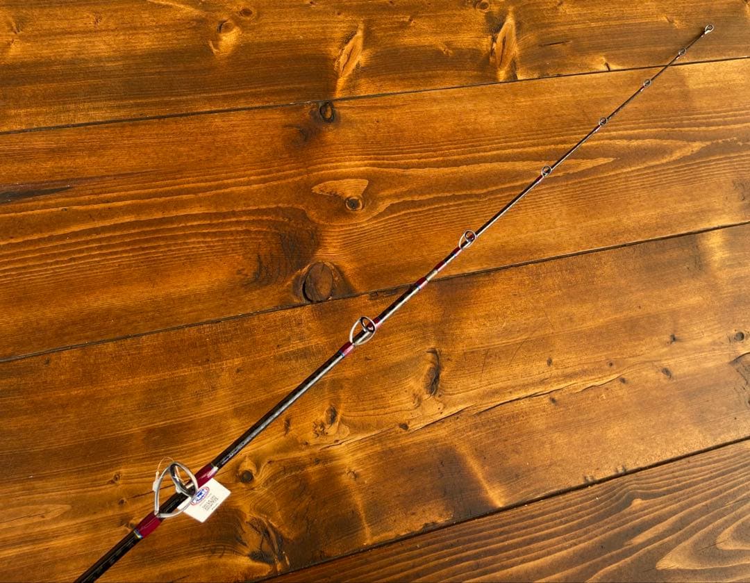 限定1セット　ジギングロッド　スピニングパックロッド　Fujiガイド タイラバ