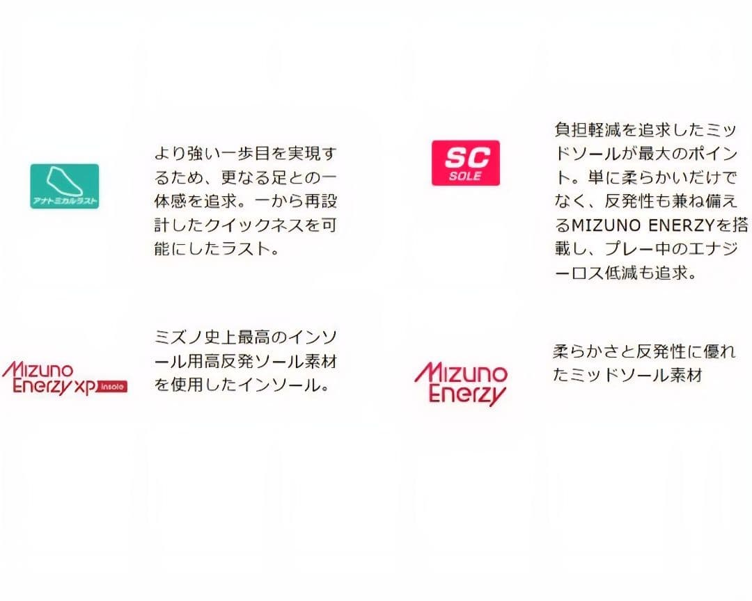 Mizuno Pro WBC日本代表カラー26.0cm