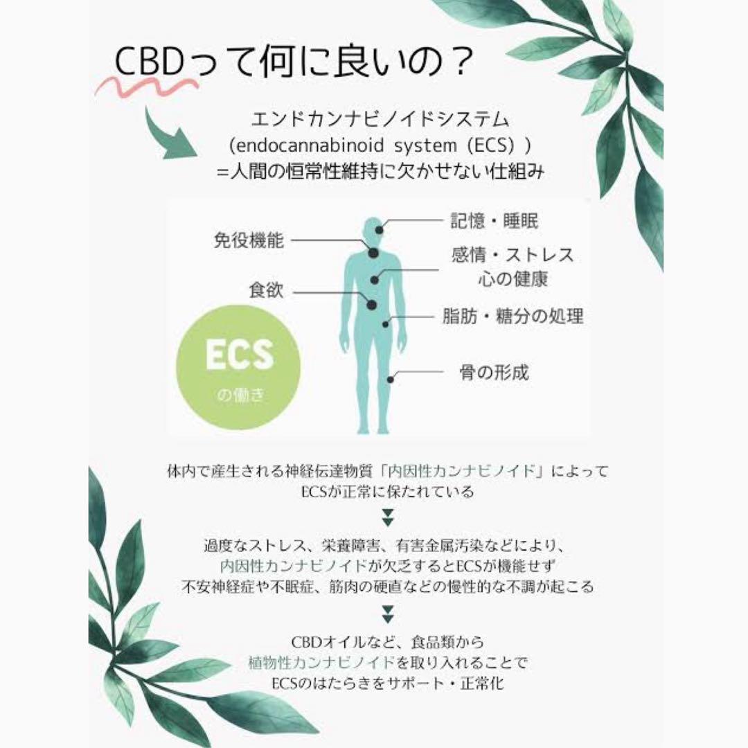 HHBD リキッド 1ml CBD CBN CBP H4CBH