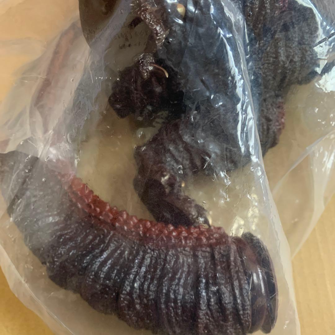 レトロソフビシリーズ　シンゴジラ2016 第4形態　PassionTank