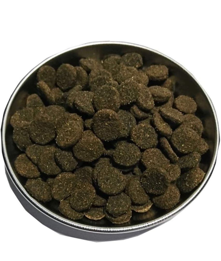 R プロフ必読！AZ アゼットアレルギーケア ラム＆ポテト10Kg ✖️2袋