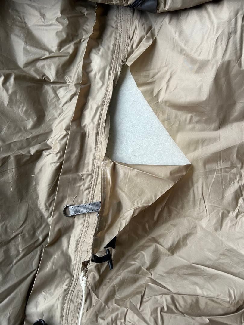 サバティカル　アルニカ