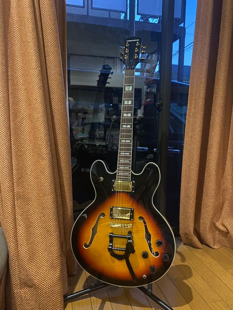 エレキギター 初心者にもオススメ PLAYTECH sa-500 custum