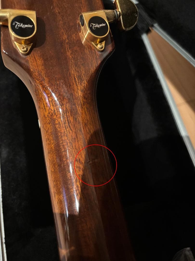 Takamine / DSP015 TBS アコースティックギター 日本製