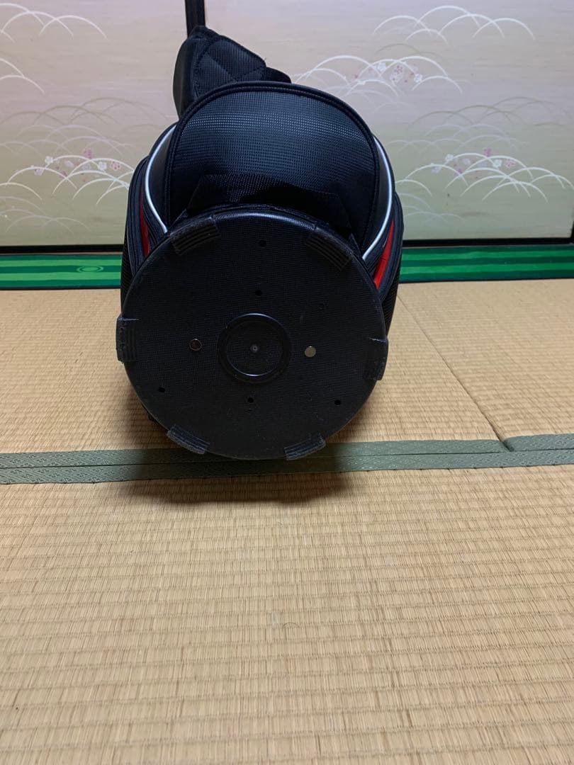 ミズノキャディバッグ