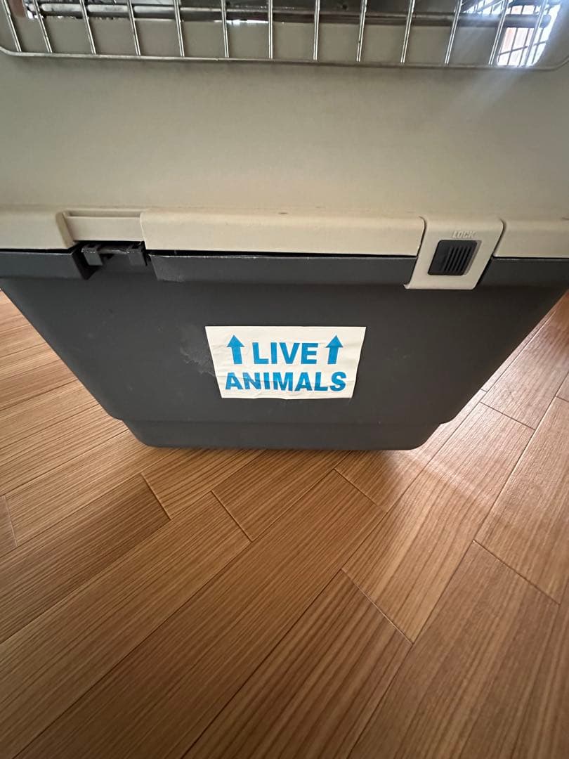 バリケンネル　Lサイズ　大型犬　【千葉市】引き取り希望