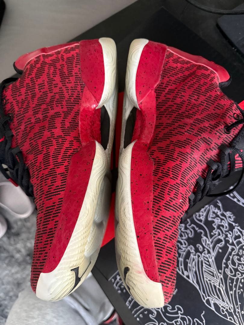 シューズ(男性用) Jordan 29 Jimmy Butler PE