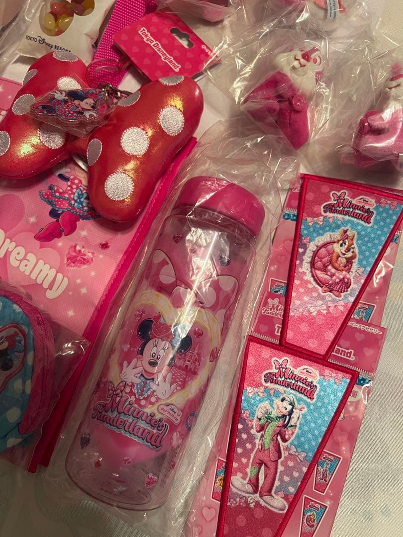 ミニーのファンダーランド　パルパルーザ