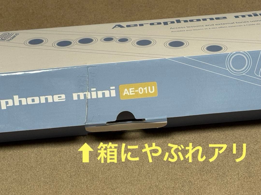 ★未使用品★ Roland Aerophone mini AE-01U ＋おまけ