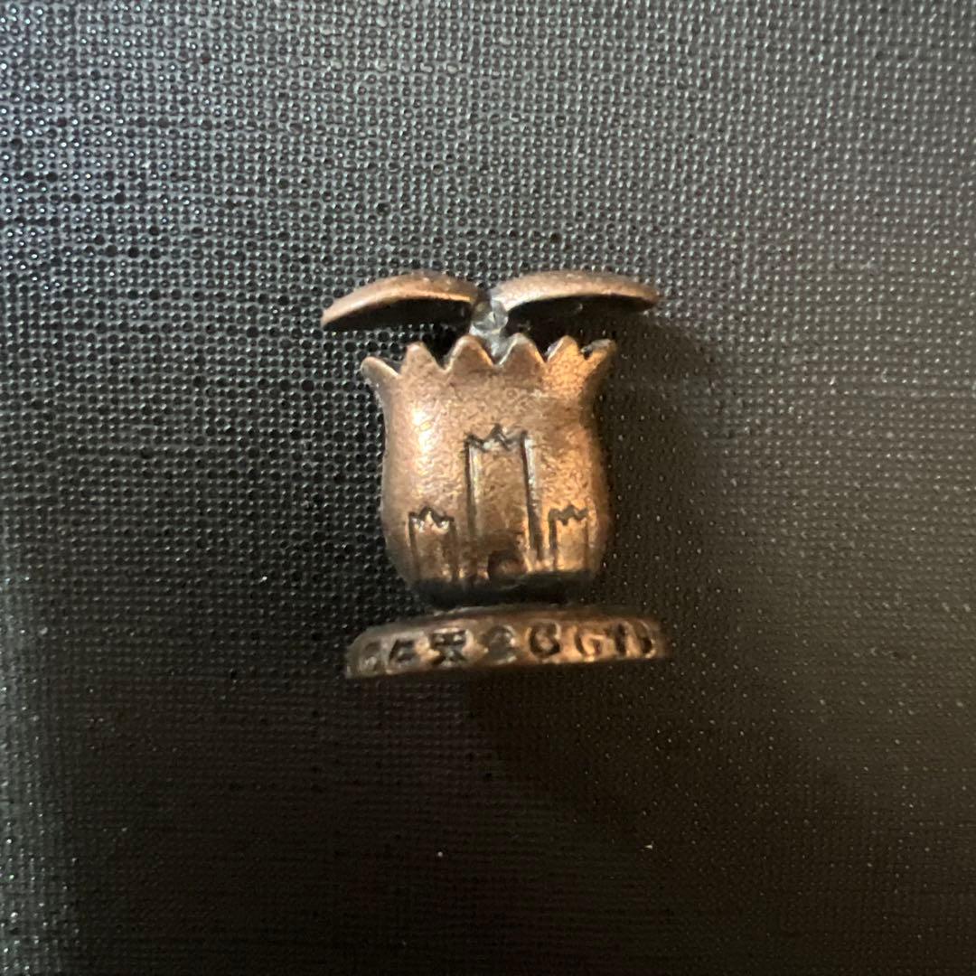 ポケモンメタルコレクション　ヒマナッツ