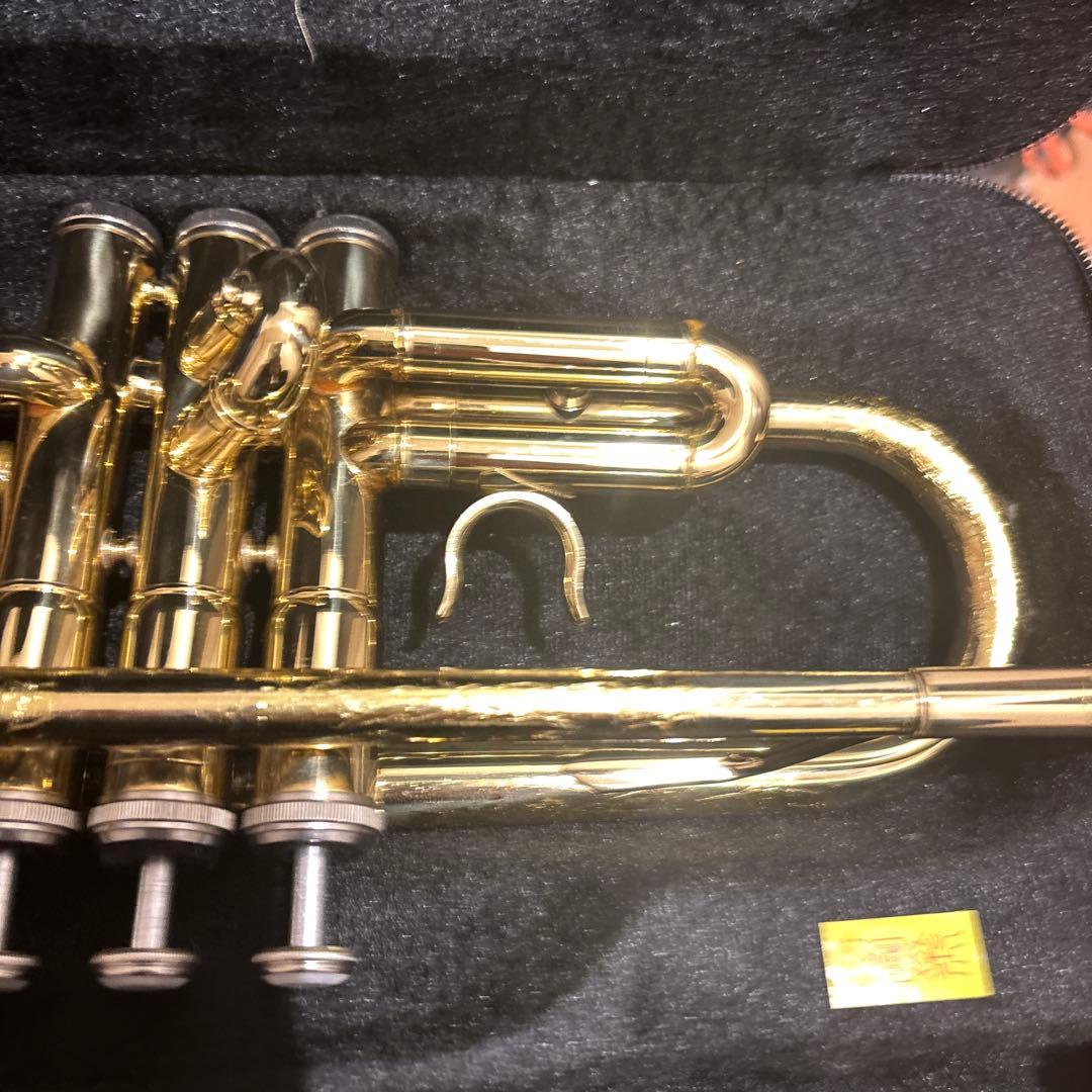 uoouwe トランペット マウスピース付き　専用ケース