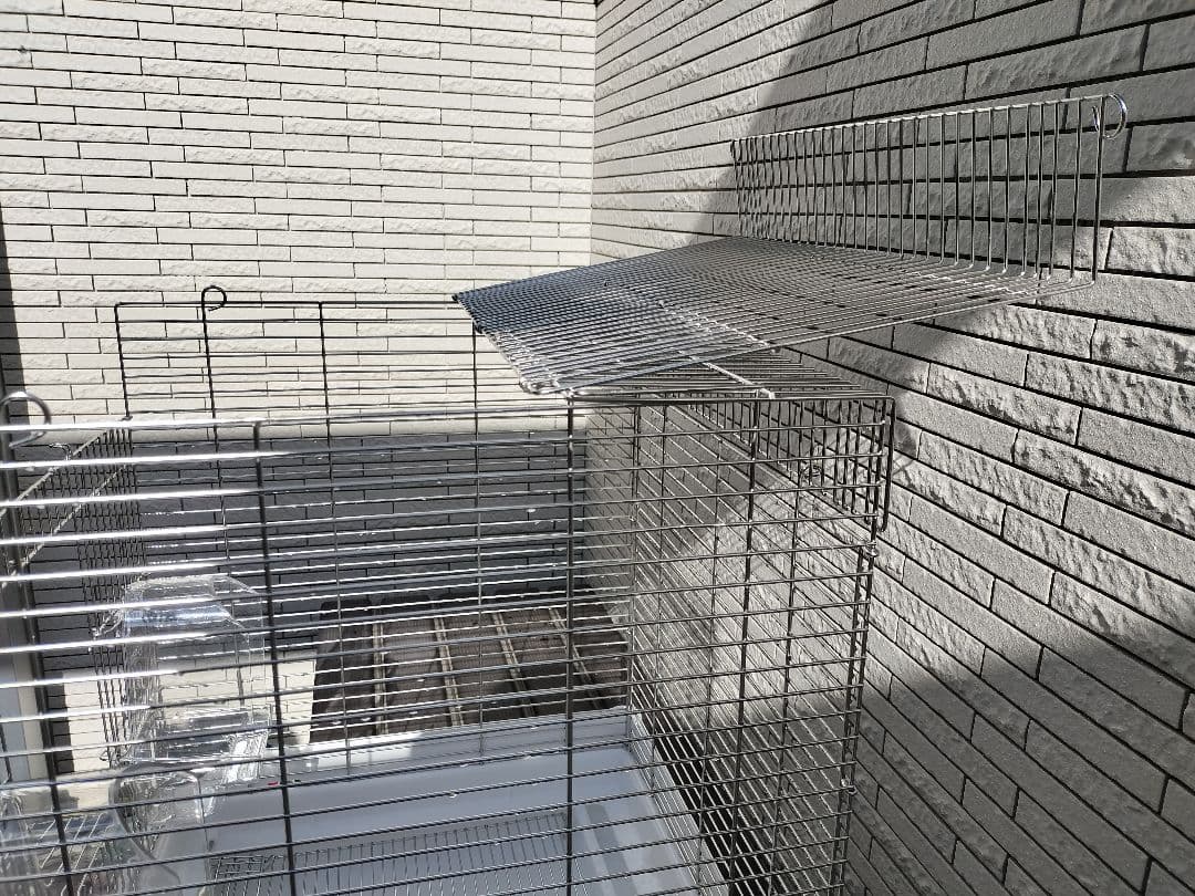 465オカメインコお迎えフルセット ステンレス