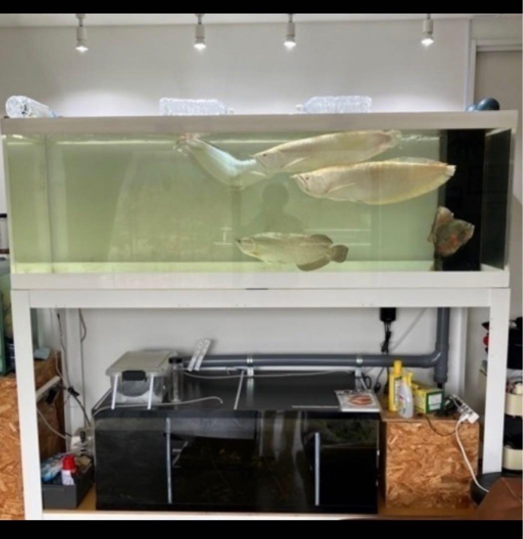 【引取り限定】【期間限定】大型水槽2000×680×600