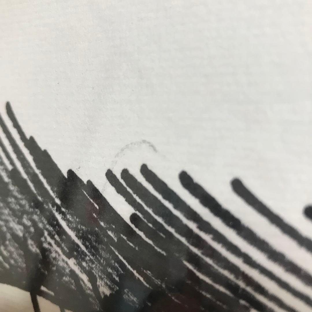 松本零士 サイン色紙 銀河鉄道999 メーテル