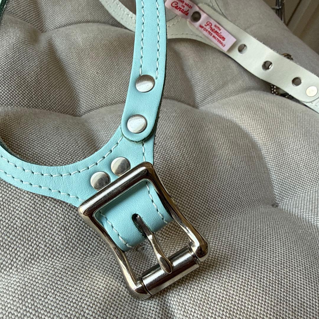 試着のみ☆BUDDY BELTSバディーベルト4号