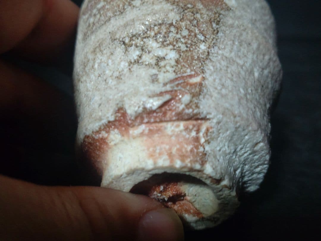 古谷道生造　信楽ぐい呑　共箱