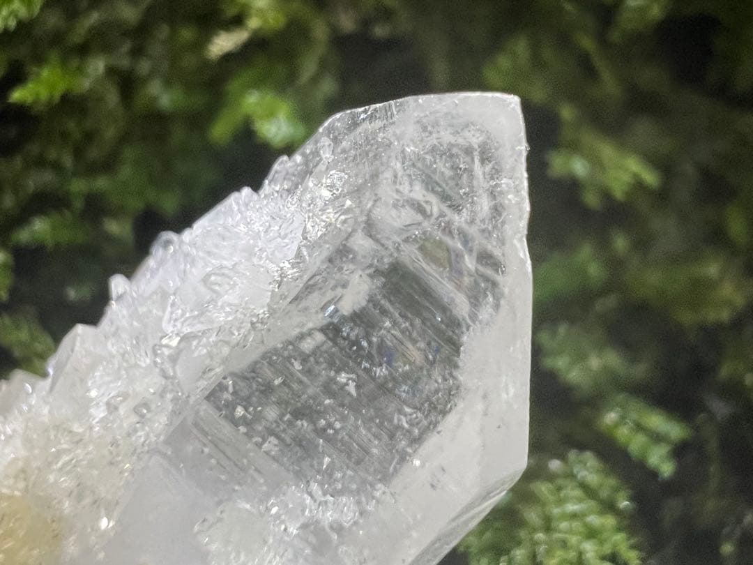 龍脈の精髄 九州産両剣水晶＋クラスター付き＋虹入り 【保護猫活動支援】