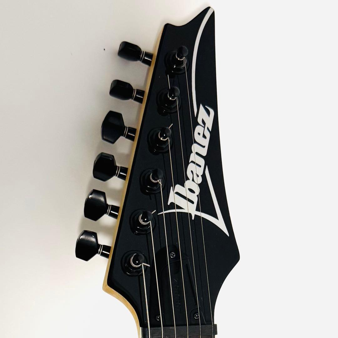 Ibanez RGV250 BK アイバニーズ エレキギター