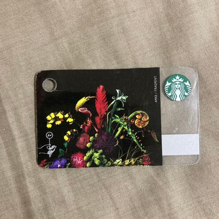 スターバックスカード　フラグメント　pin削り済み