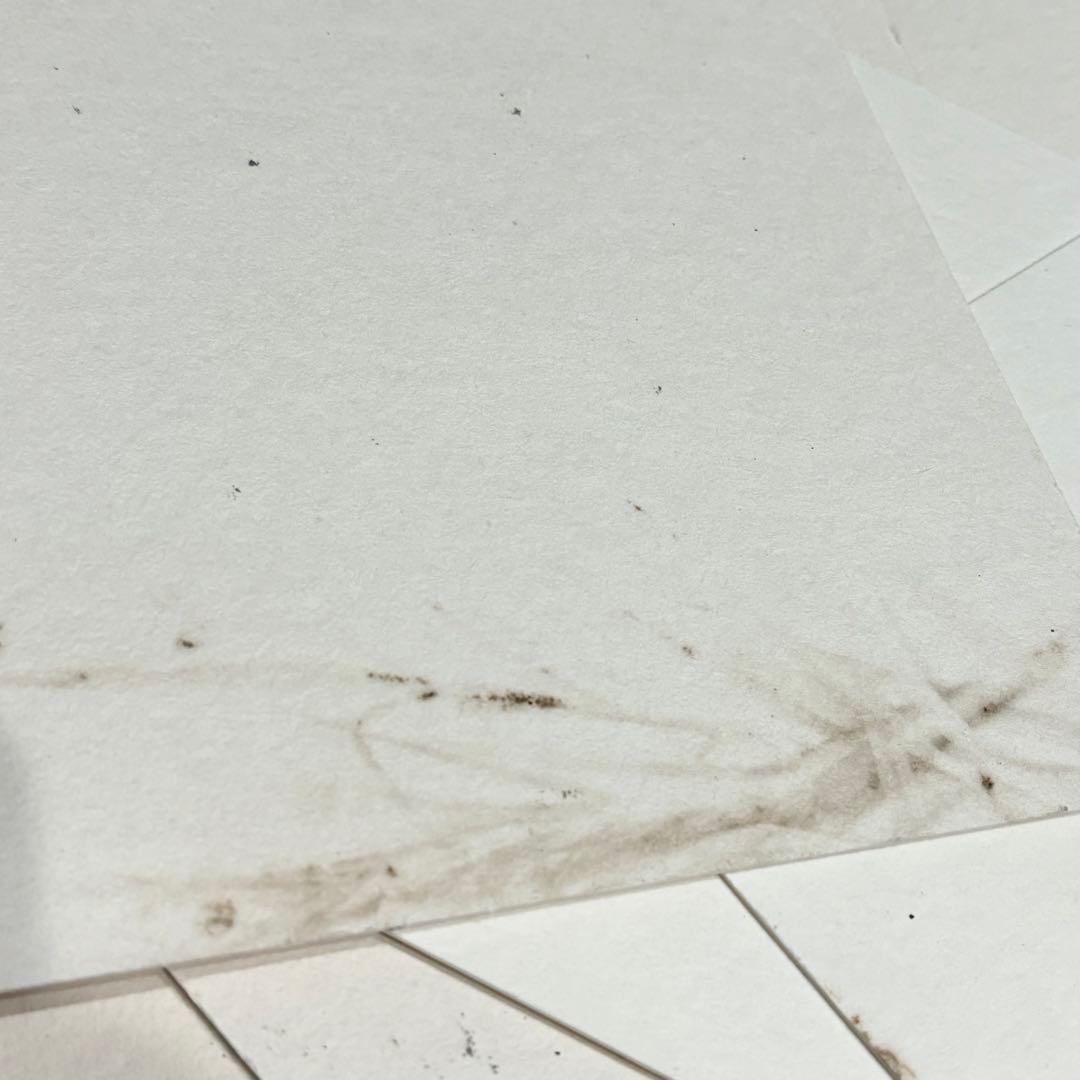 HEAD GRAPHITE COMP XL MID PLUS トリコロールカラー