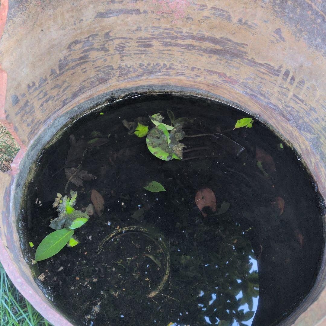 古民具 リメイク 火鉢 金魚鉢 メダカ鉢 水連鉢 骨董 アンティーク　割れ加工