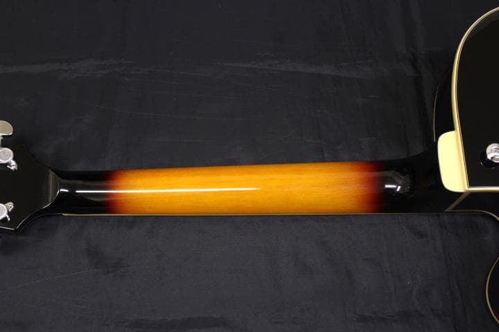 Ibanez(アイバニーズ) / AF75 BS フルホロウ エレキギター