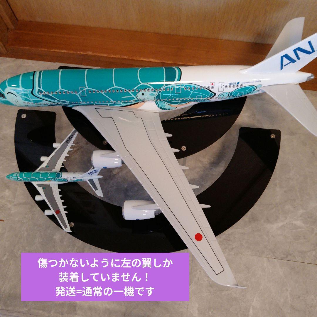 8/17 フライングホヌ カイ君 1/150 BIGModel