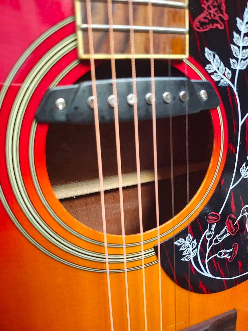 美品 ハミングバード Wピックアップ付エレアコ トップ単板