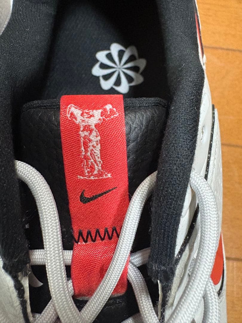 NIKE ナイキ ゴルフシューズ ビクトリー プロ 3 サイズ9.5