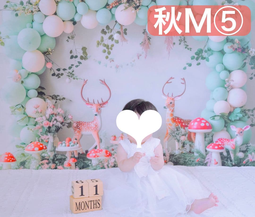 背景布【秋XB】サンプル　ペット撮影用ブース　パンパスグラス　ドライフラワー