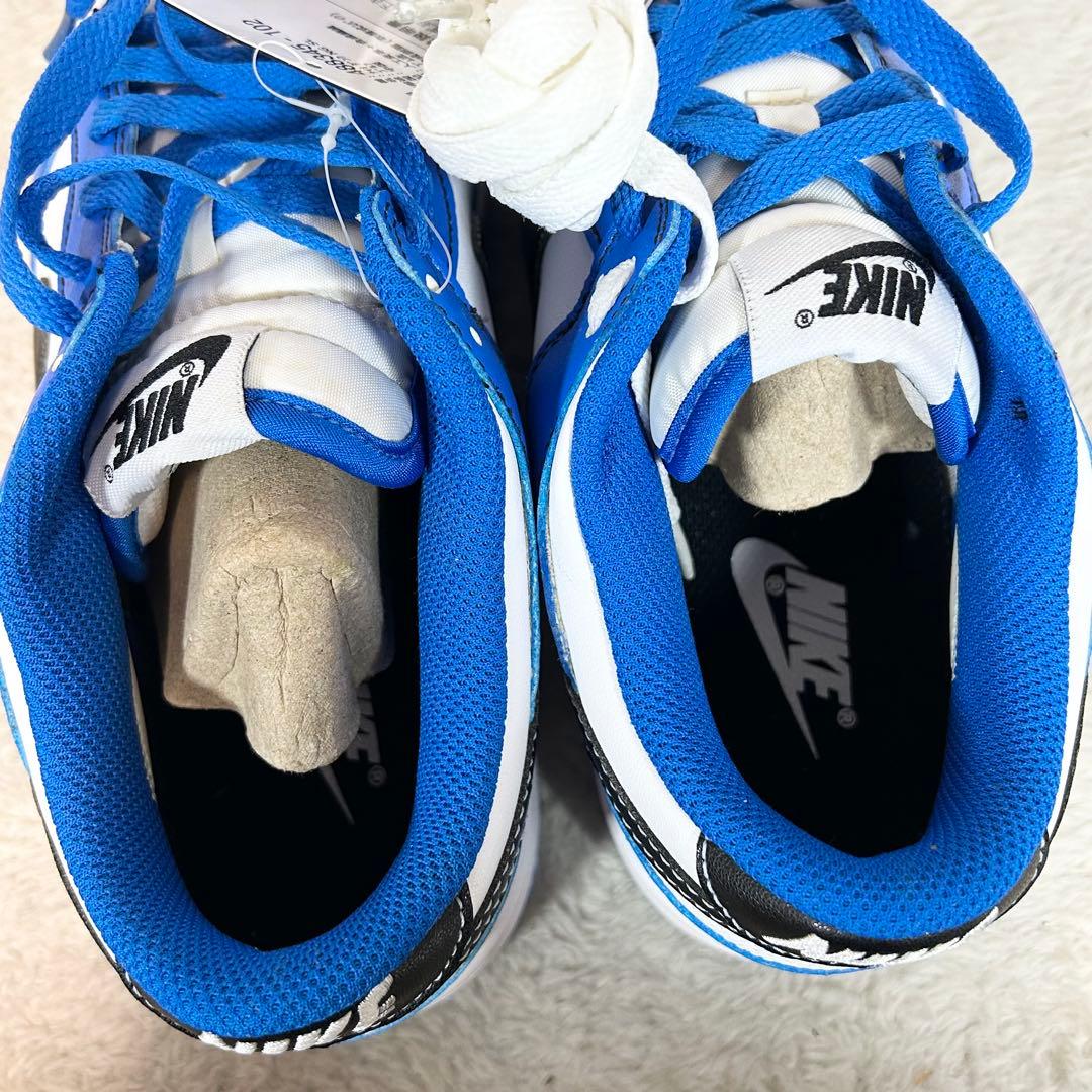 未使用❗️NIKE GOLF DUNK LOW NG SL ゴルフシューズ　25