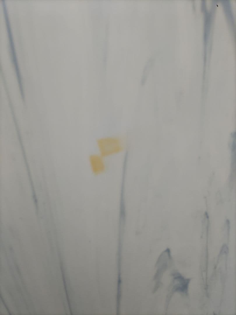 ソフテックファンボード 青6.0 54L