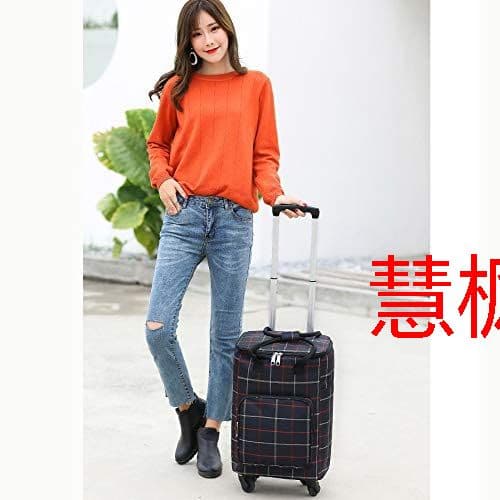 ショッピングカート 買い物カート ショッピングキャリー キャリーバッグ 折り>