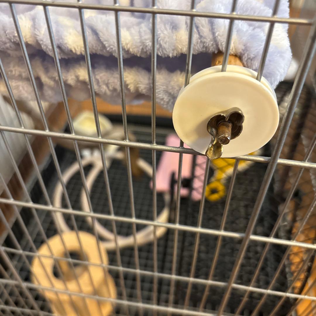 イージーホーム40ハイ・色々セット、おまけ砂浴び