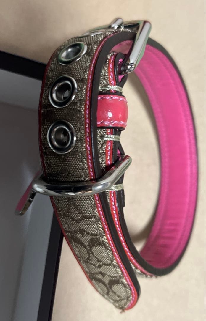 首輪・リードセット COACH