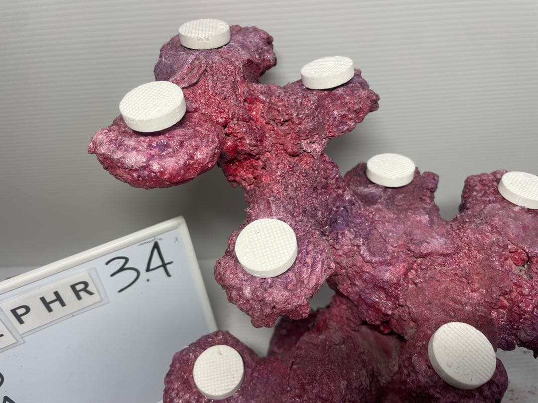 【送料無料】人工ライブロック　PHR34／15穴加工　アク抜き済み安心塗料使用