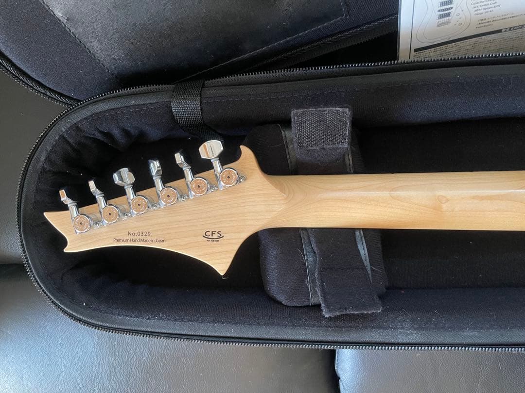 【激レア】G-Life Guitars DSG Classic ロイヤルブルー