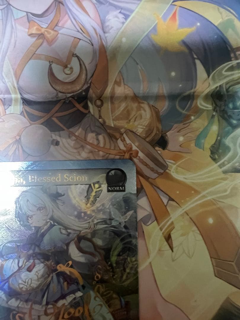 その他 Guo Jia,Blessed Scion CSR grand archive