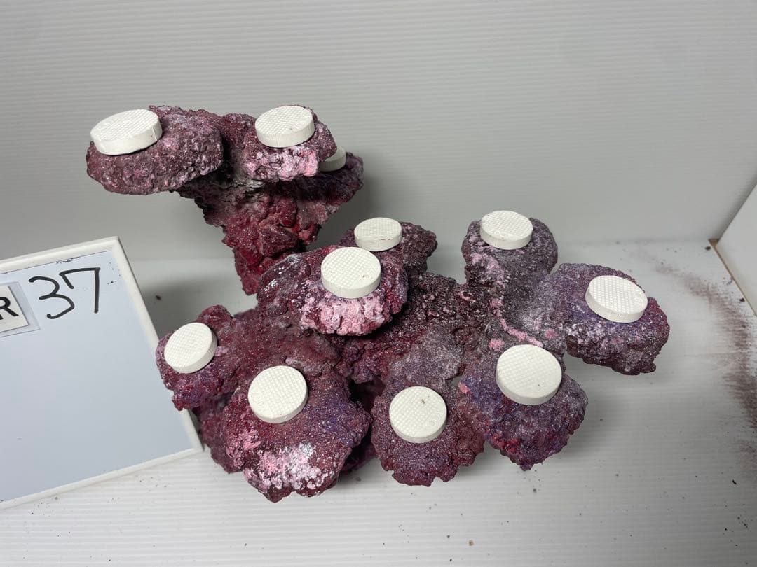 【送料無料】人工ライブロック　PHR37／11穴加工　アク抜き済み安心塗料使用