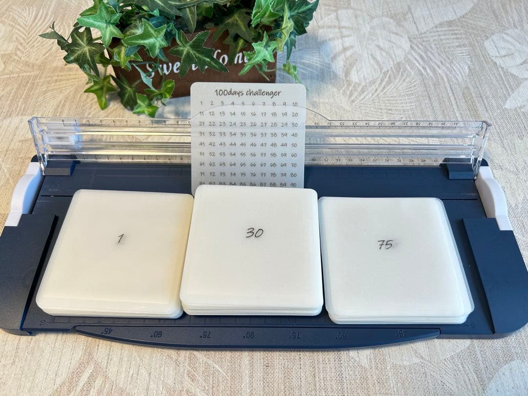 即購入OK★ボックス付き★100days savings challenge