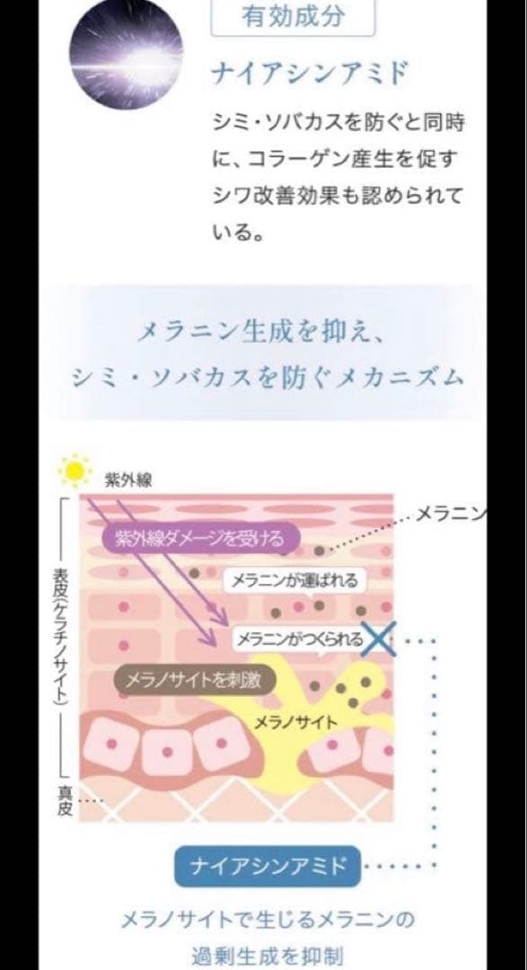 ドレススノー 3点セット