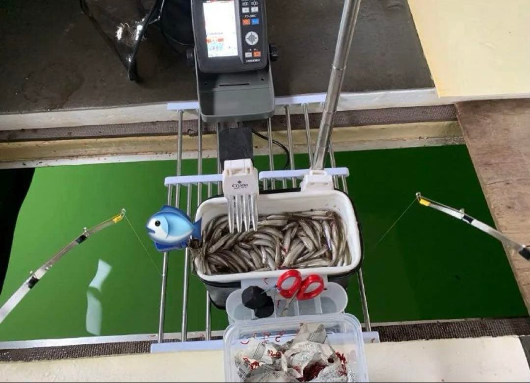 ワカサギ　ステンレス穂先　235ミリ　２本