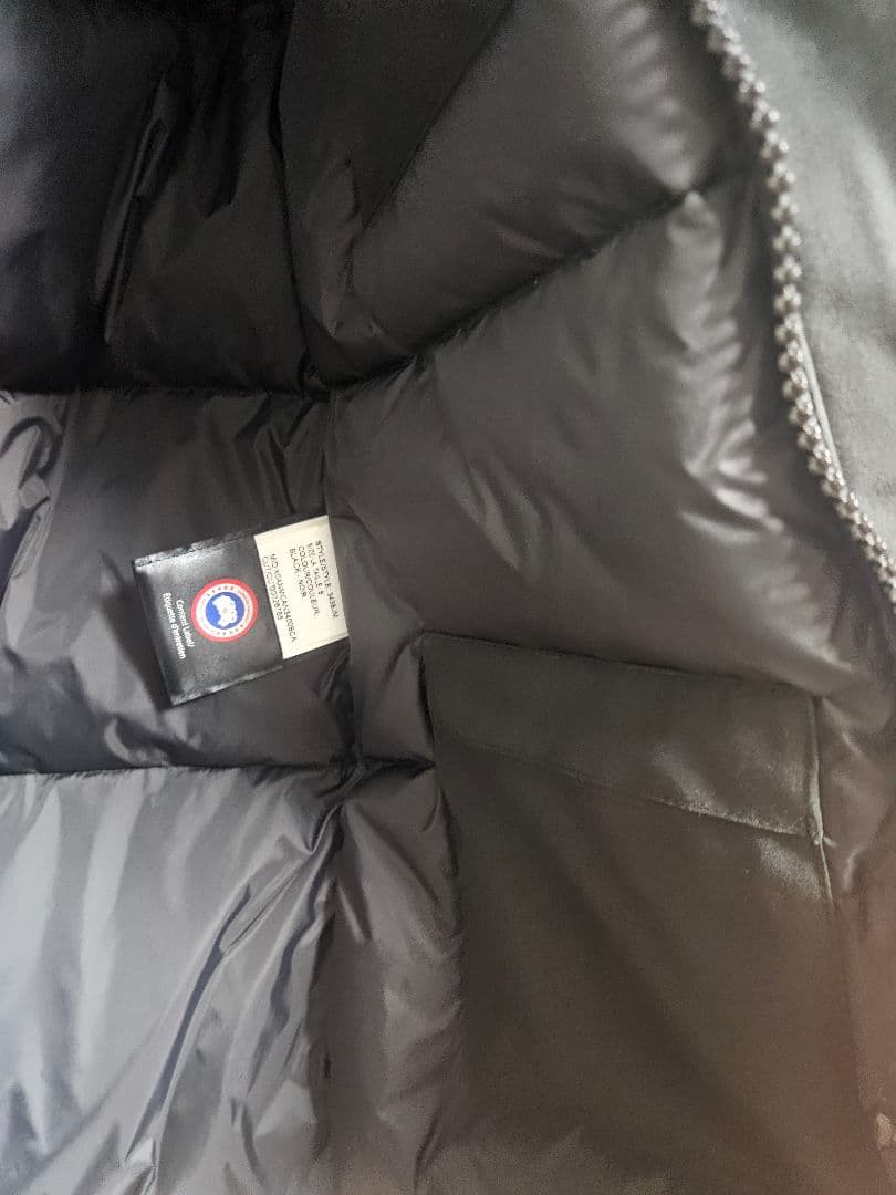 カナダグース　ジャスパー