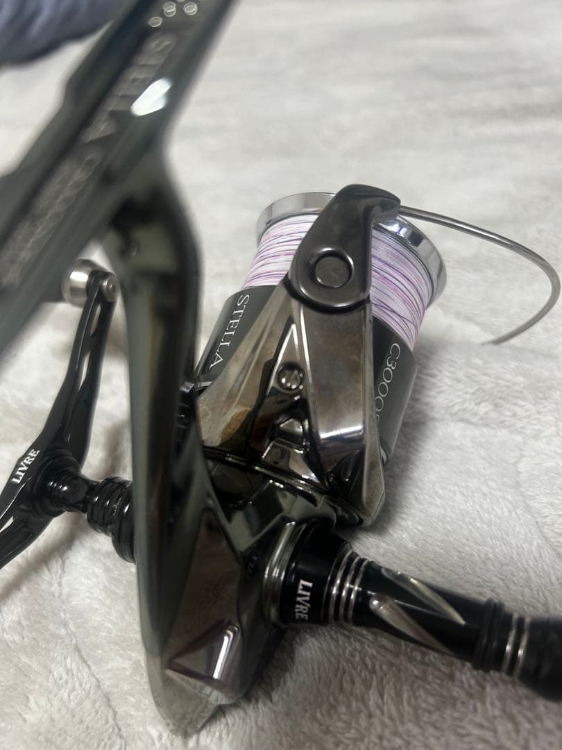 ヒロ22ステラC3000SDH