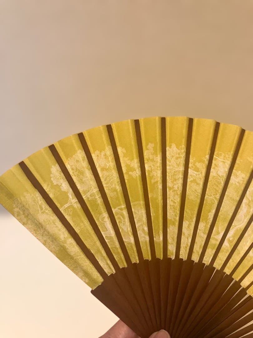 【新品・未使用】CHRISTIAN DIOR萌黄色扇子 トワル ドゥ ジュイ