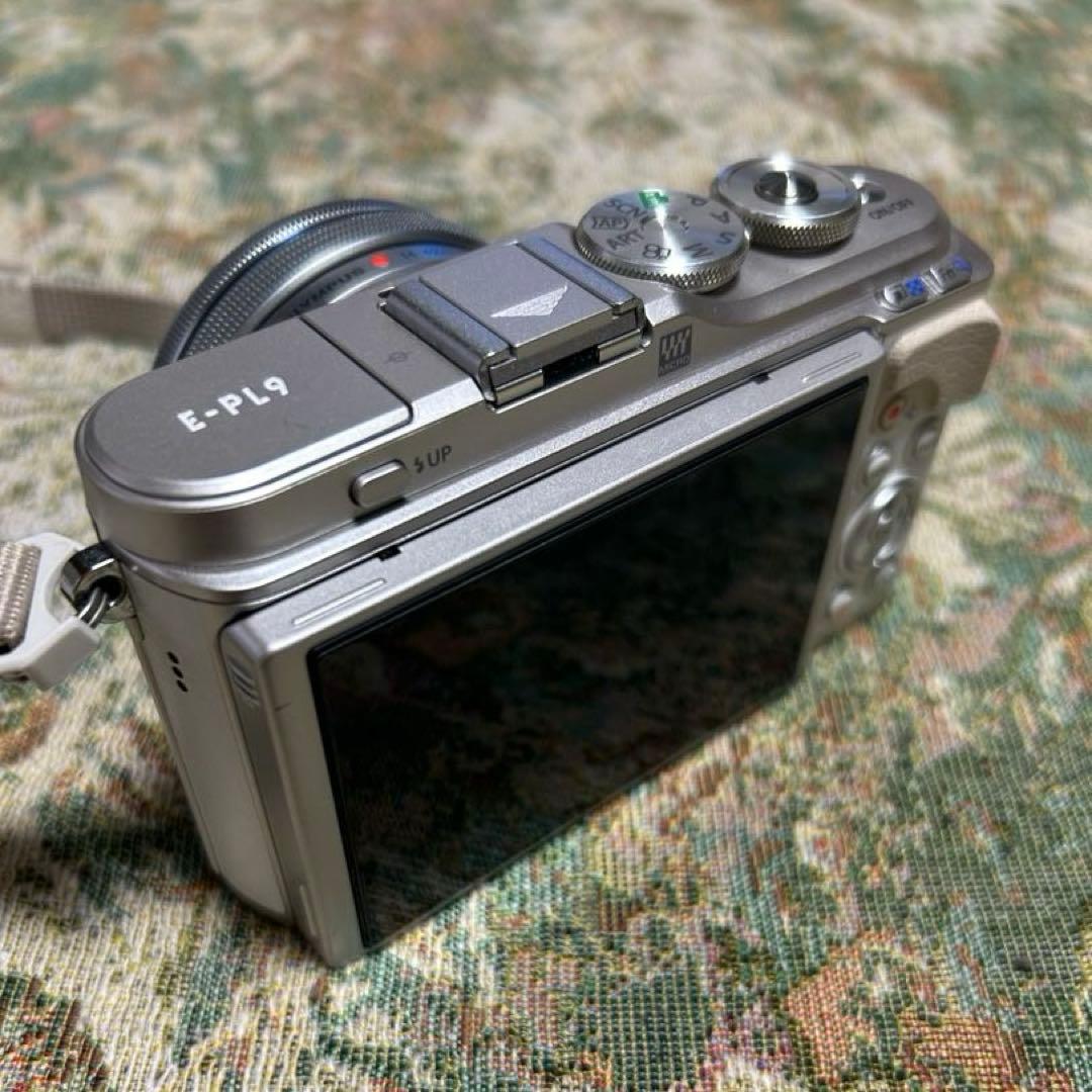 ✳︎即使用可能セット✳︎ Olympus E-PL9 デジタル一眼