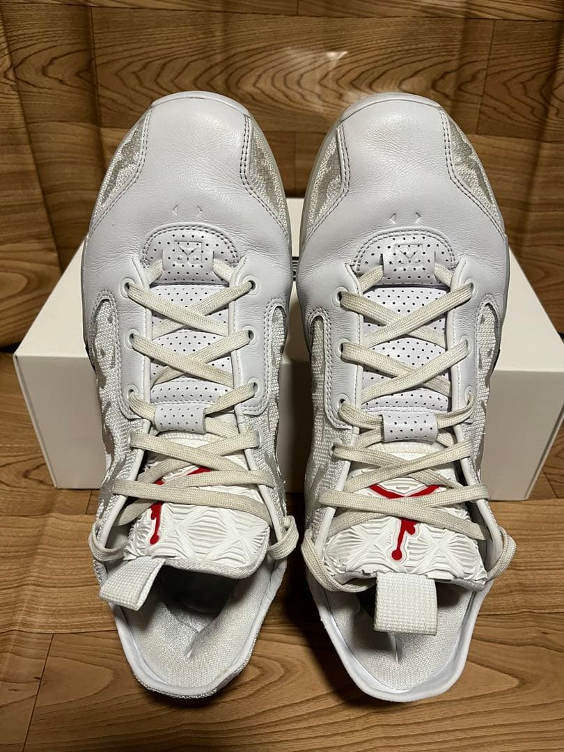 シューズ(男性用) AIR JORDAN 39