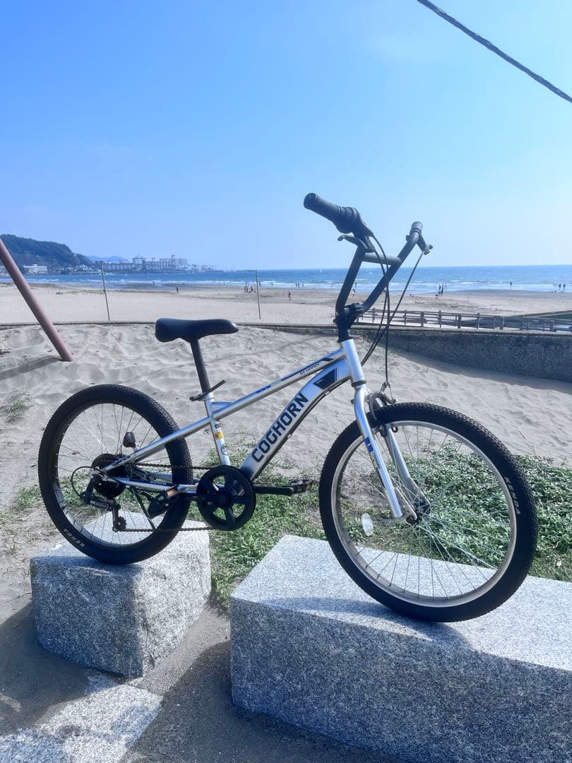 伊佐祐毅 さん専用COCHORN BMX 22インチ